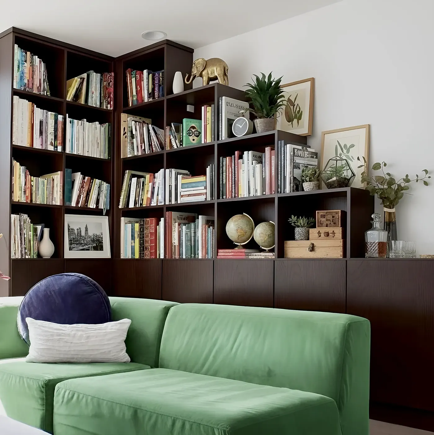 The same library wall seen whole — adjustable shelving through the middle at reading height, closed storage below